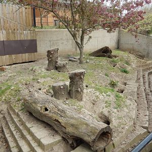 5/2/2018 - Meerkat Habitat