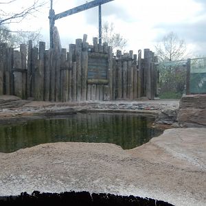 5/2/2018 - Humboldt Penguin Habitat (Right Half)