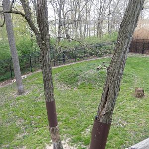 5/2/2018 - Cheetah Habitat (Right Half)