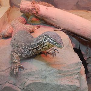 5/2/2018 - Argus Monitor