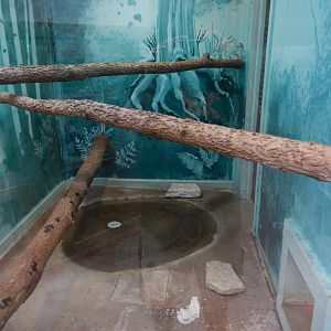 5/2/2018 - Burmese Python Exhibit (1 of 2)