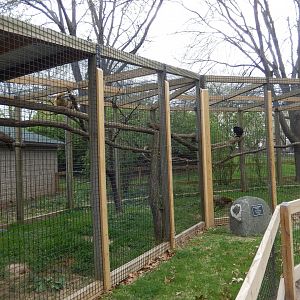 5/2/2018 - Howler Monkey Exhibit