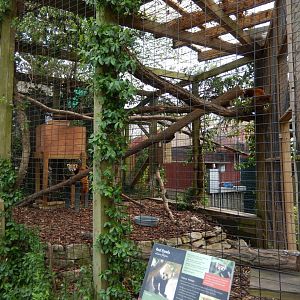 5/2/2018 - Red Panda Habitat (Left Half)