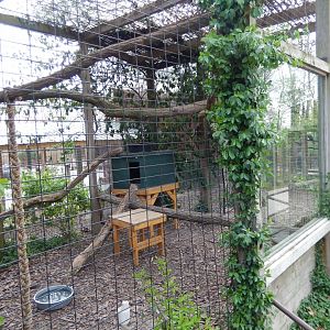 5/2/2018 - Red Panda Habitat (Right Half)