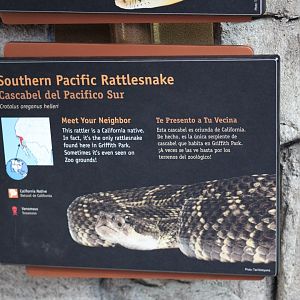 Southern Pacific Rattlesnake Signage