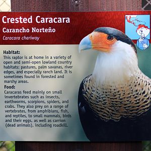 Northern Crested Caracara Signage