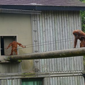 Jantho and Anette, June 2018