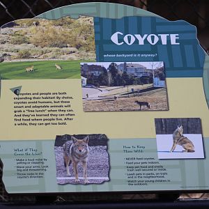 Coyote Signage