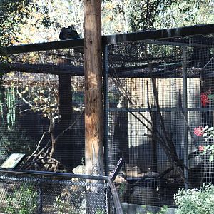 Porcupine Enclosure