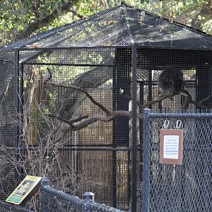 Porcupine Enclosure