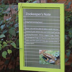 Endangered Frogs Still Coming Soon..