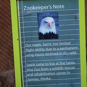Bald Eagle Signage