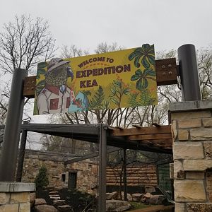 Expedition Kea - March 2018