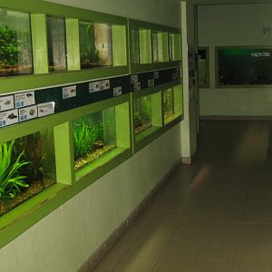 Riga Zoo - Aquarium