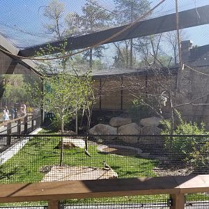 Expedition Kea - Australia Exhibit, May 2018