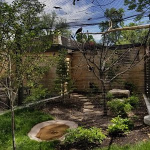 African Aviary, June 2018