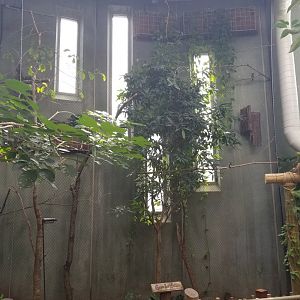 Guam Kingfisher Exhibit