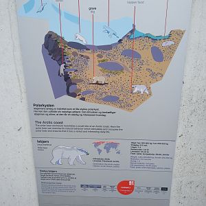 Signage - The Arctic Ring