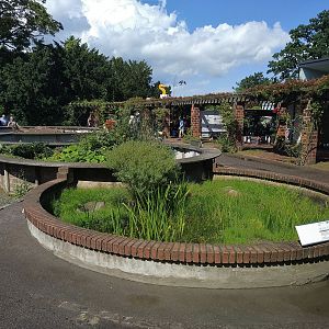 Temperate Reptile Terraria