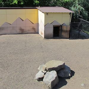 New Sichuan takin exhibit