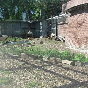Patas monkey exhibit