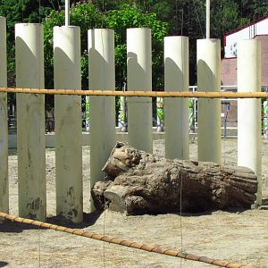 Elephant enrichment log