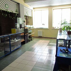 Insect & fossil exhibit