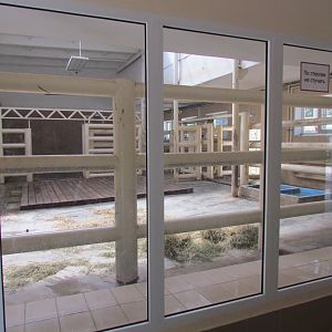 Rhino indoor exhibit