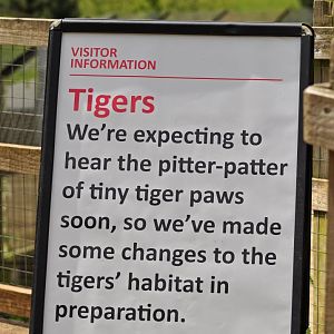 Tiger announcement sign June 2018