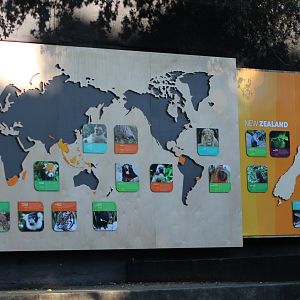 Conservation projects with which the zoo is involved