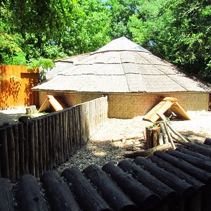 Indian crested porcupine exhibit