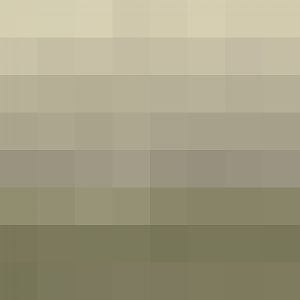 Javan Binturong Sign