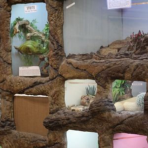 View of Terrariums