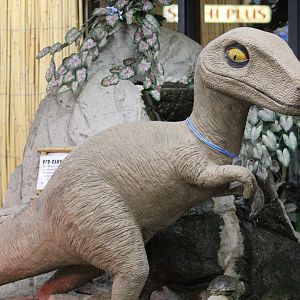 Raptor Statue