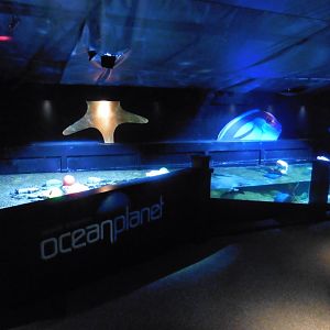 Sea Cavern -Native Shores