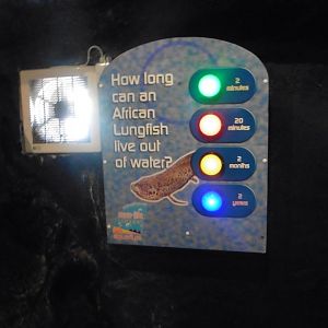 Visitor educative interaction board