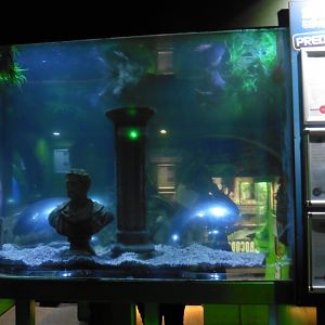 HMS Sub-Tropical tank