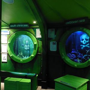 HMS Sub-Tropical tanks