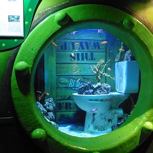 HMS Sub-Tropical tanks