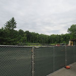 Pride of Africa Construction - Cleared Land is Exhibit Location