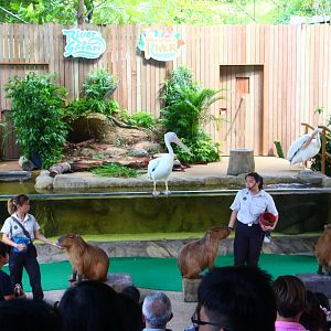 Once Upon A River show