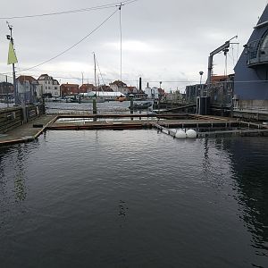 Harbour Porpoise Pen