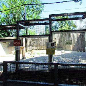 Lion exhibit