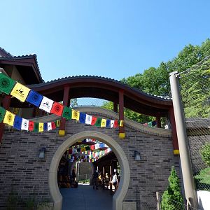 Asian Highlands - June 2018