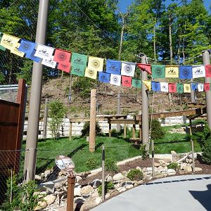 Asian Highlands - Snow Leopard Exhibit #1