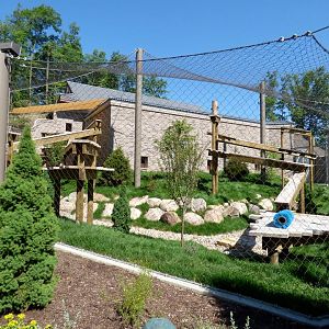 Asian Highlands - Amur Leopard Exhibit