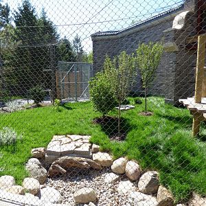 Asian Highlands -Snow Leopard "Nursery" Exhibit