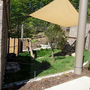 Asian Highlands - Red Panda Exhibit