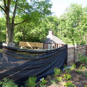 Asian Highland - Takin Exhibit - June 2018