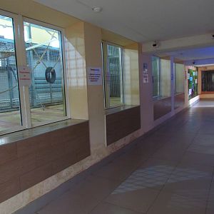 Primate house interior, chimpanzee exhibits